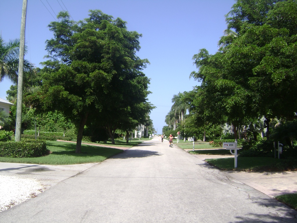 Aqualane Shores real estate views